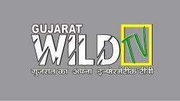 Gujarat Wild TV